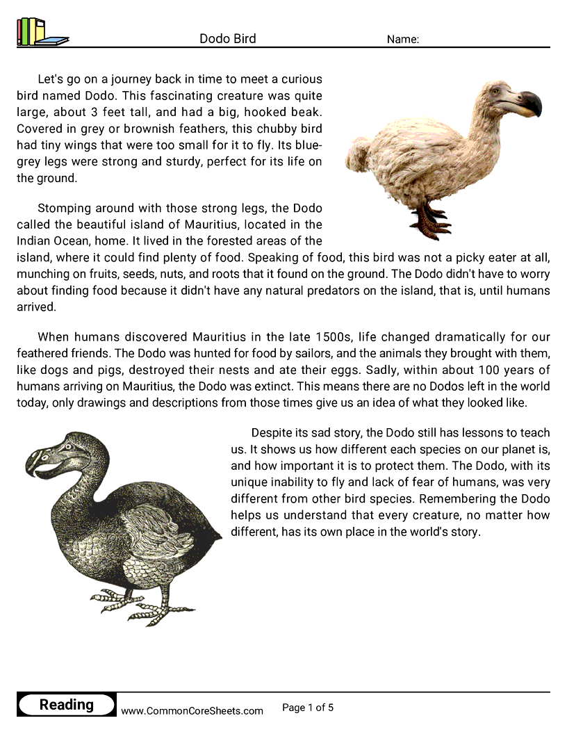 Reading Comprehension Birds Worksheets - dodo-bird worksheet