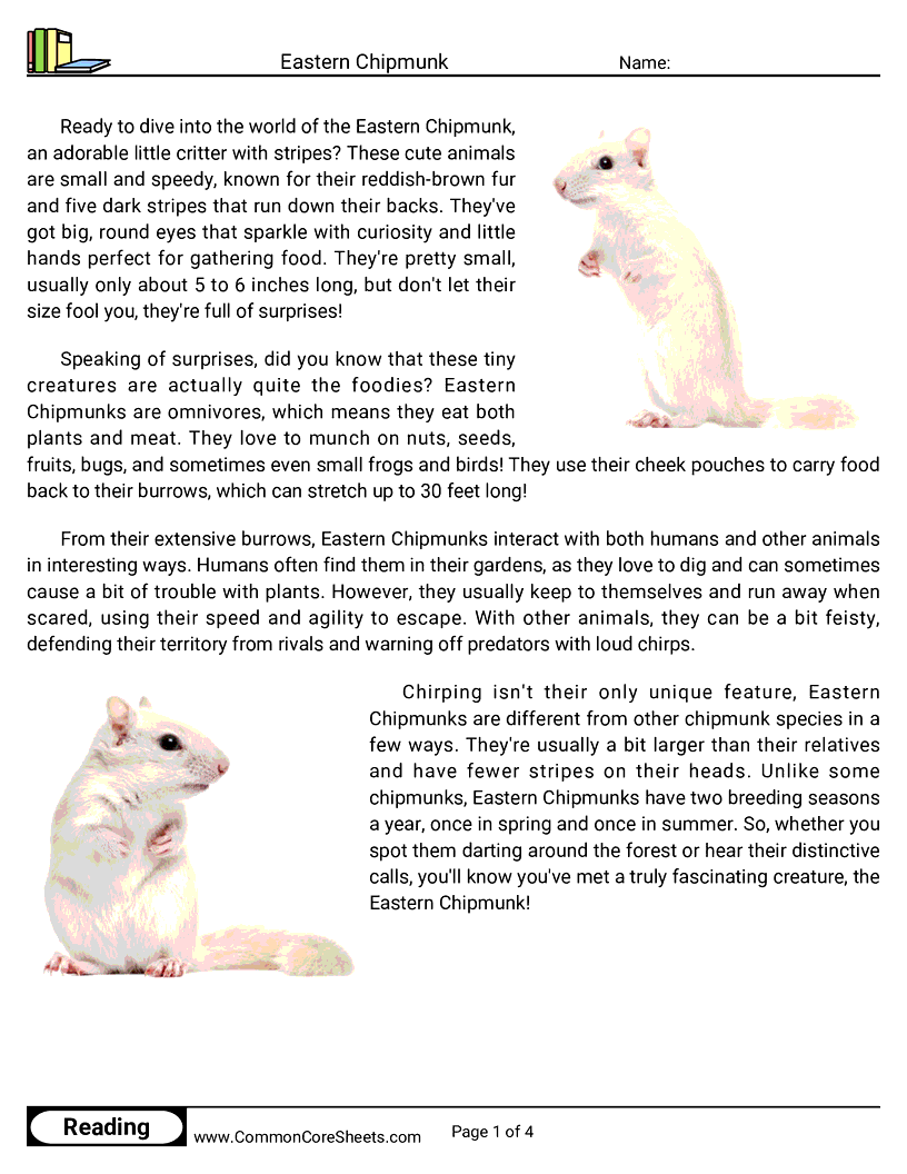 Reading Comprehension Mammals - eastern-chipmunk worksheet