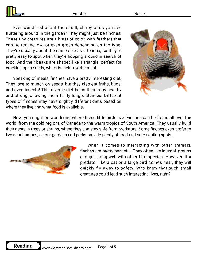 Reading Comprehension Birds Worksheets - finche worksheet