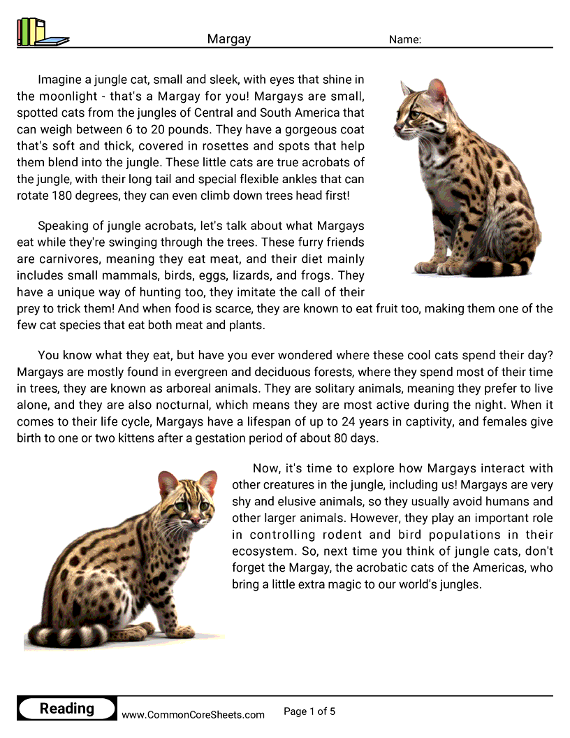 Reading Comprehension Mammals - margay worksheet