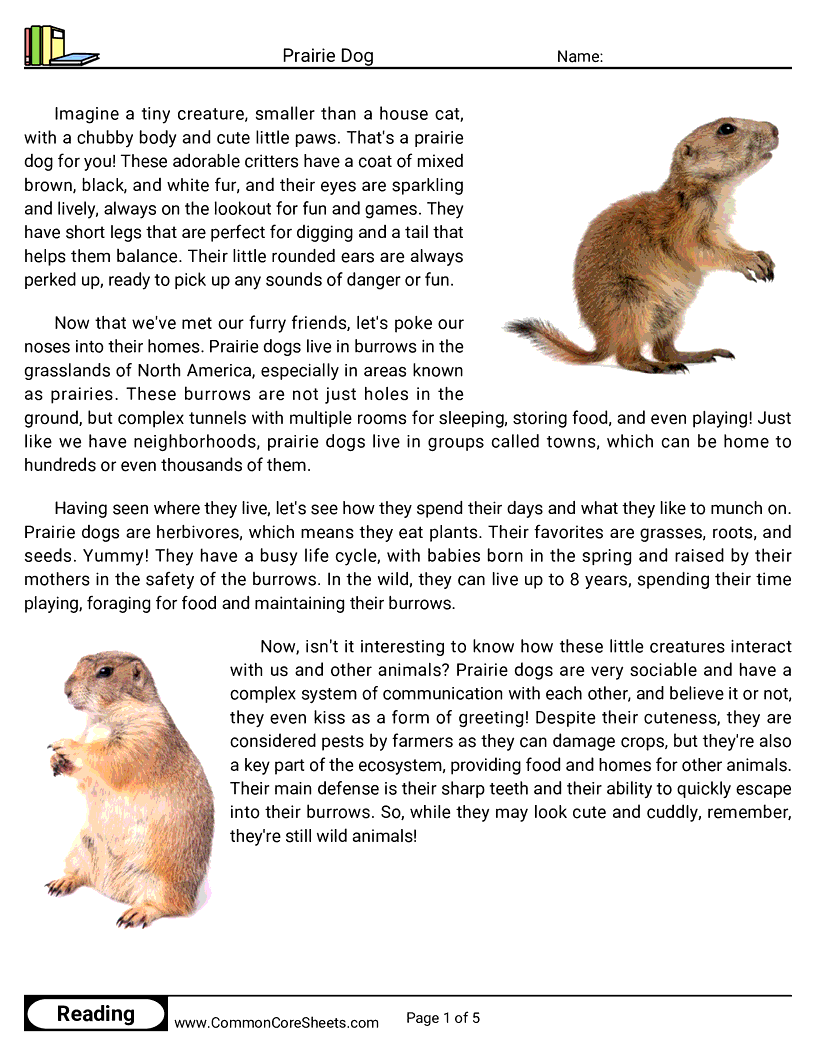Reading Comprehension Mammals - prairie-dog worksheet