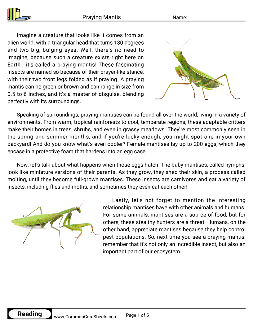 Reading Comprehension Insects Worksheets - praying-mantis worksheet
