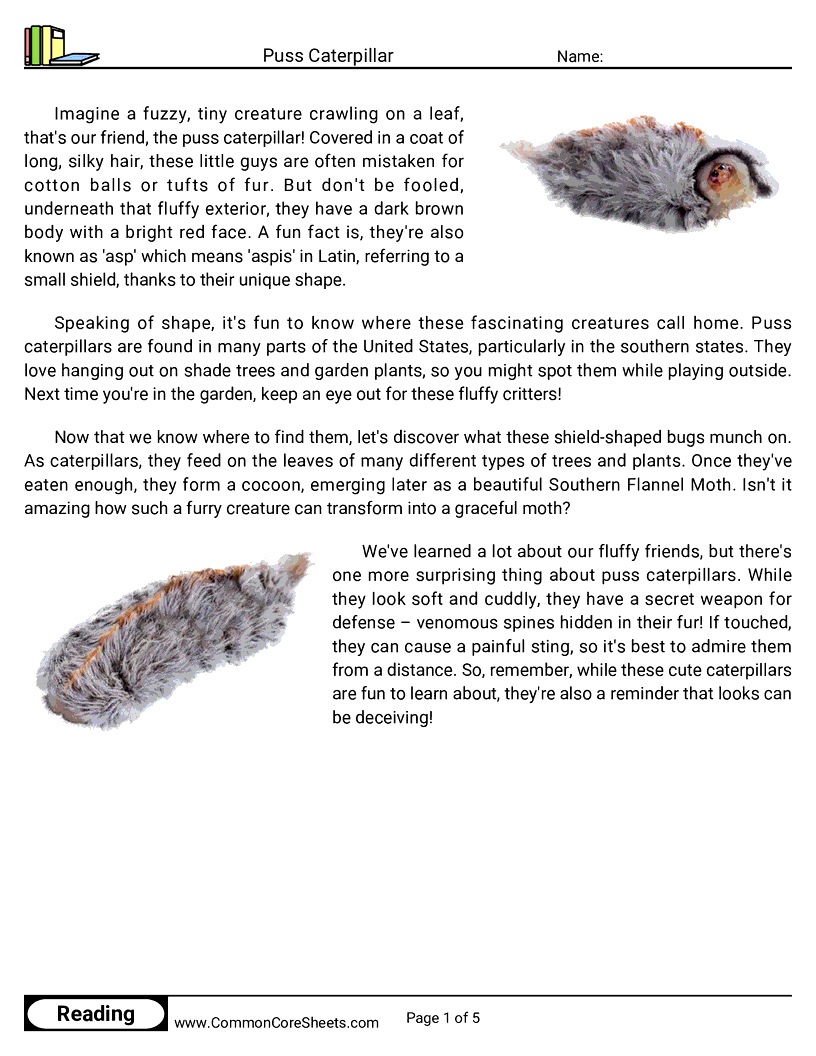 Reading Comprehension Insects Worksheets - puss-caterpillar worksheet