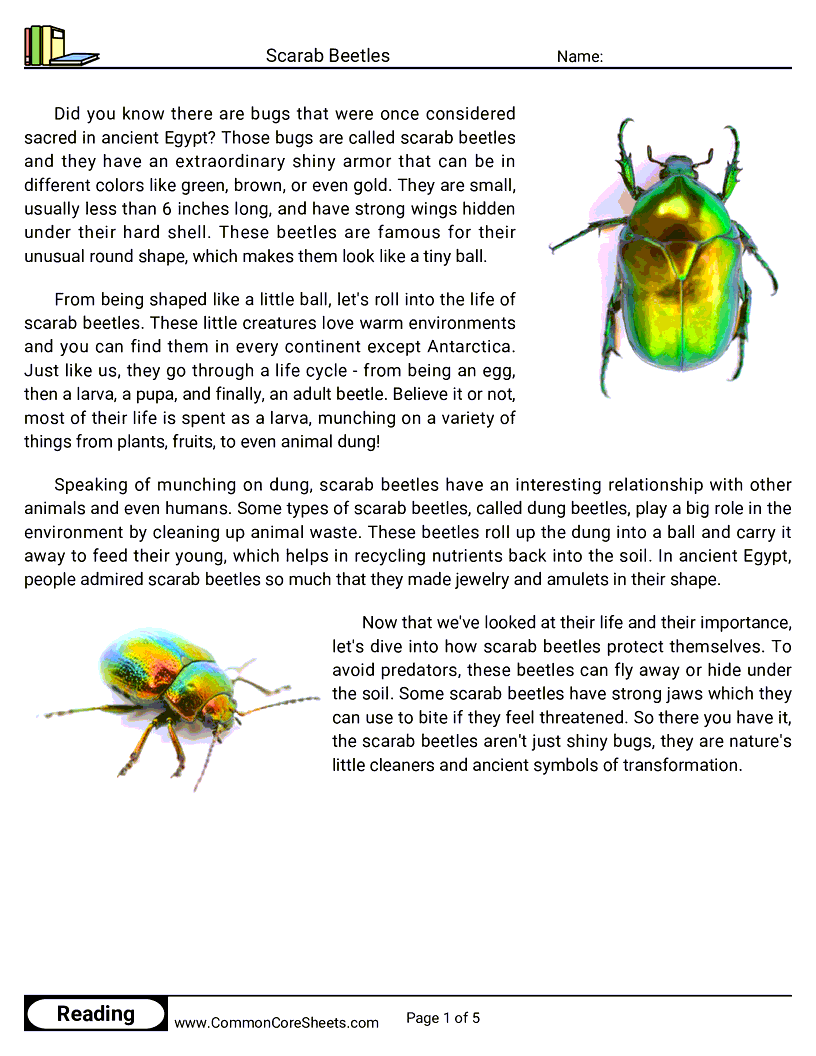 Reading Comprehension Insects Worksheets - scarab-beetles worksheet