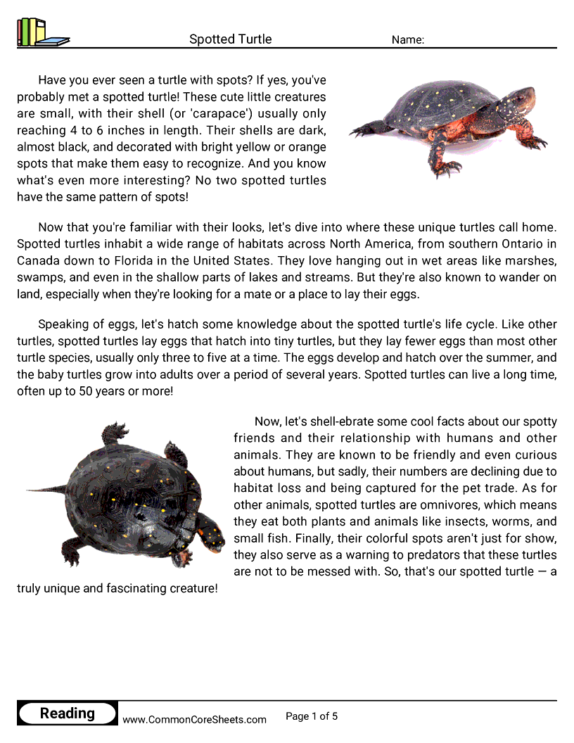 Reading Comprehension Reptiles - spotted-turtle worksheet