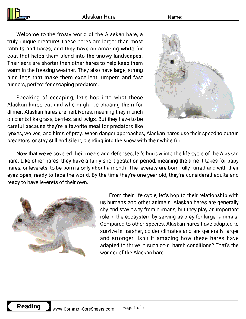 Reading Comprehension Mammals - alaskan-hare worksheet