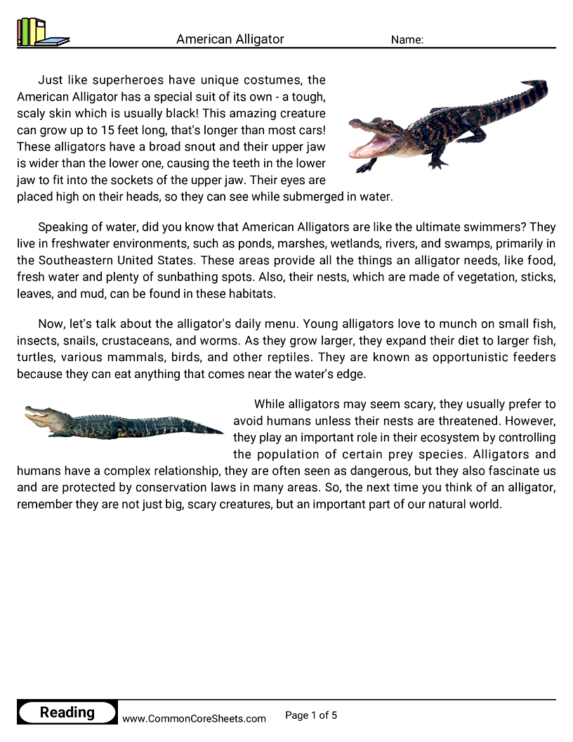 Reading Comprehension Reptiles - american-alligator worksheet