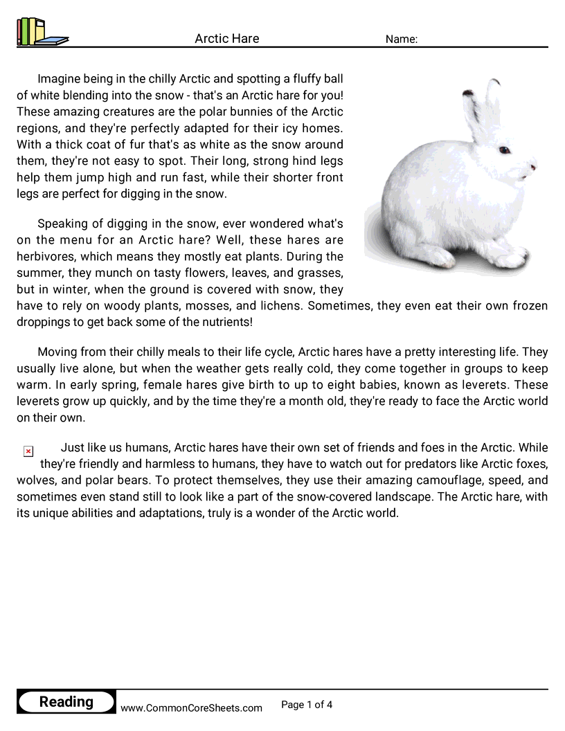 Reading Comprehension Mammals - arctic-hare worksheet
