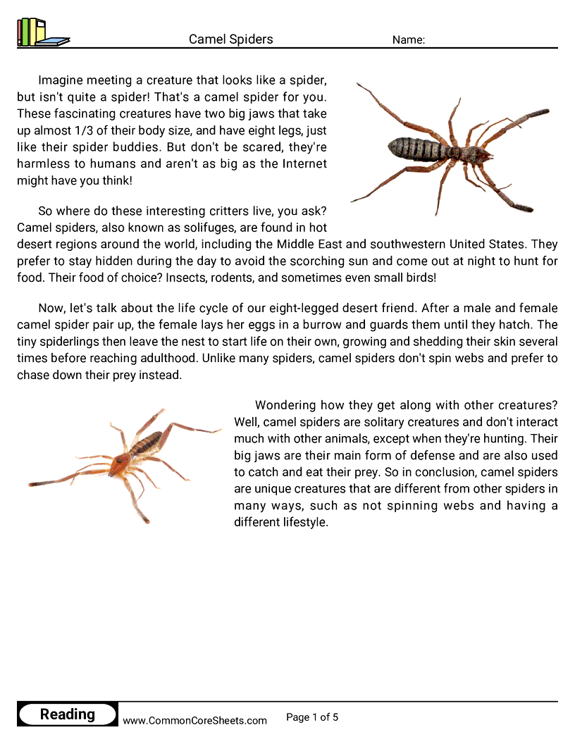 Reading Comprehension Insects Worksheets - camel-spiders worksheet