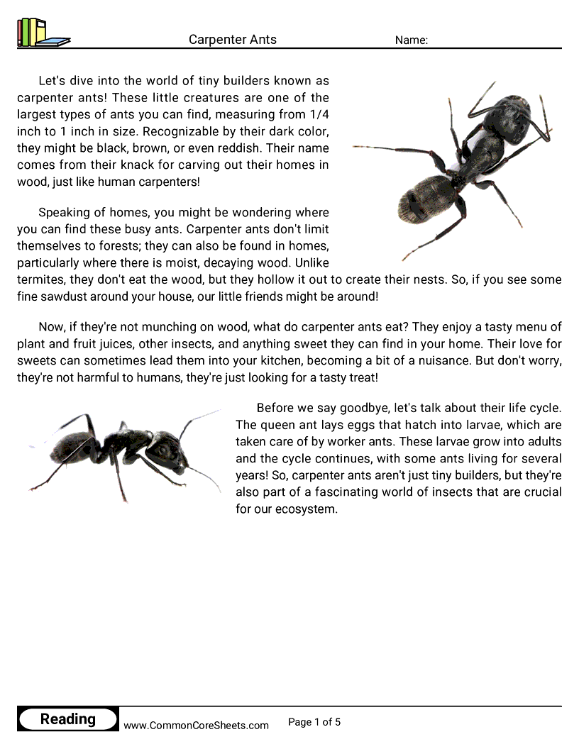 Reading Comprehension Insects Worksheets - carpenter-ants worksheet