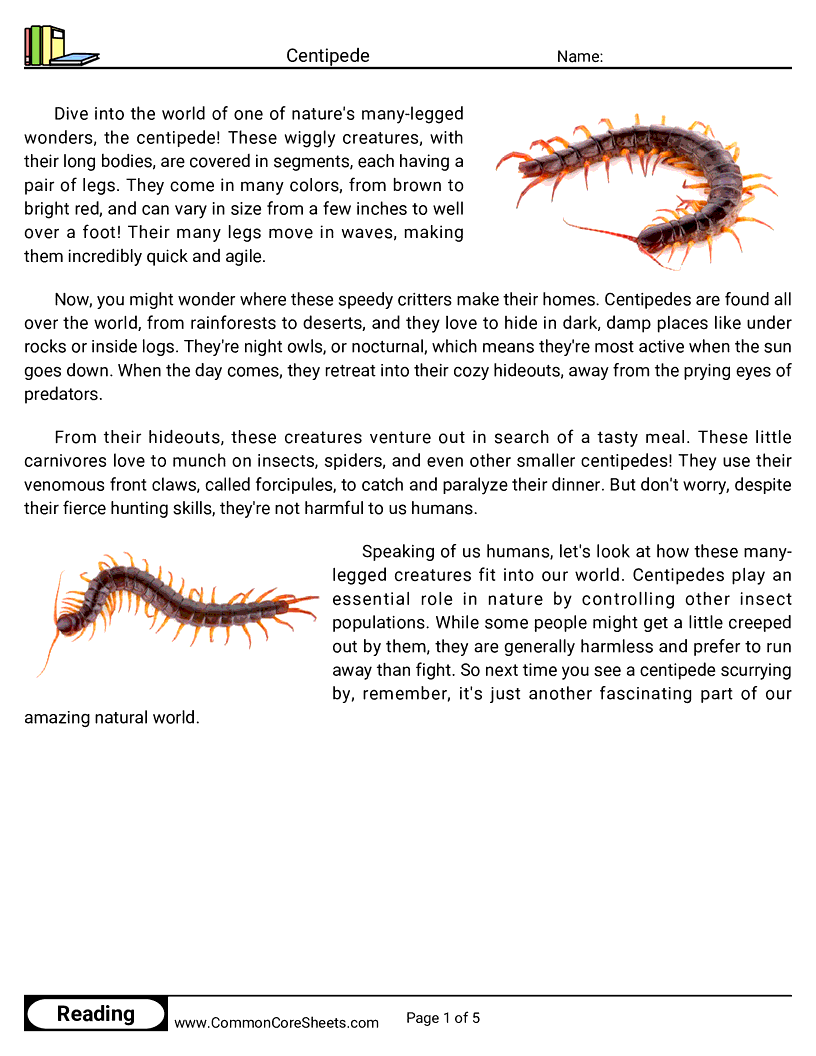 Reading Comprehension Insects Worksheets - centipede worksheet