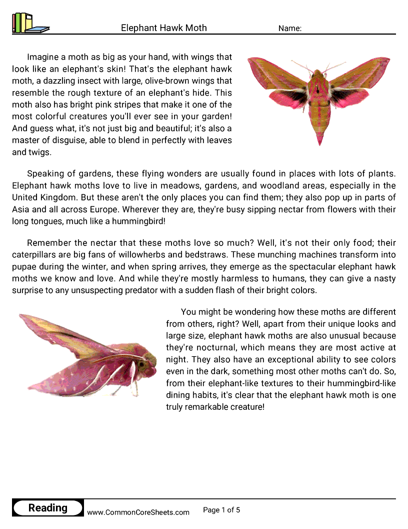 Reading Comprehension Insects Worksheets - elephant-hawk-moth worksheet